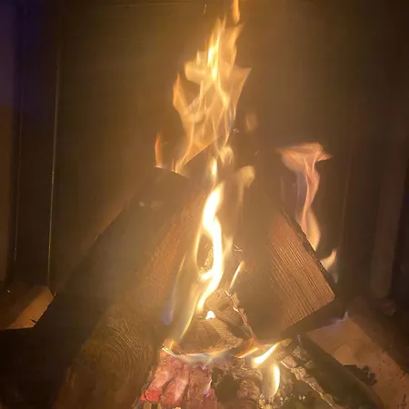 Apartment Schwalbennest