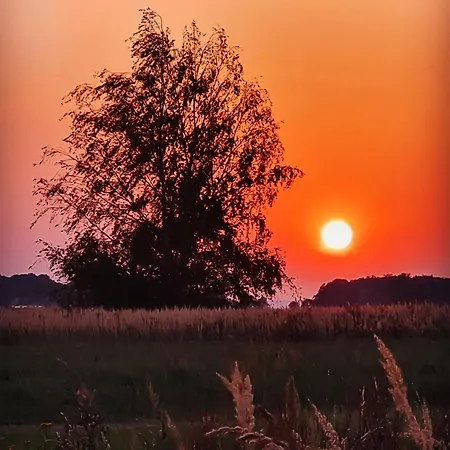 Schwalbennest * Dreschvitz